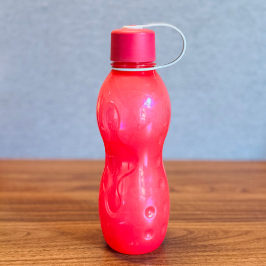 Ice Fun & Fun Water Bottle 620Ml