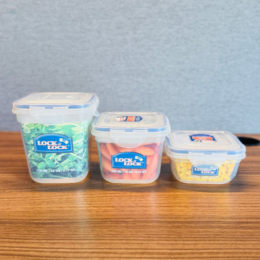 ZEN STYLE FOOD CONTAINER (3-Sizes)