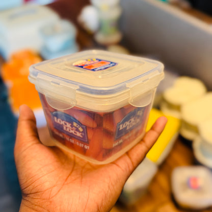 ZEN STYLE FOOD CONTAINER (3-Sizes)