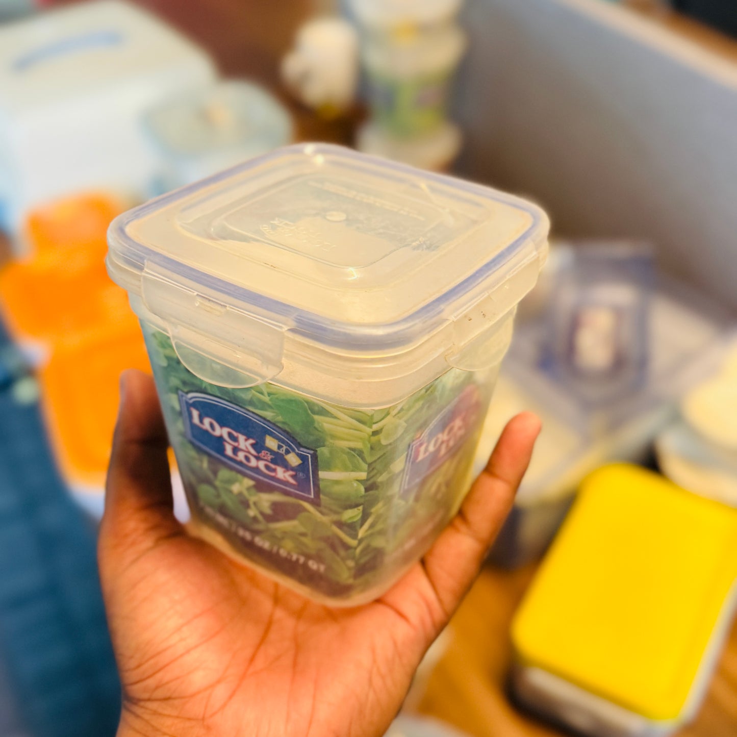 ZEN STYLE FOOD CONTAINER (3-Sizes)