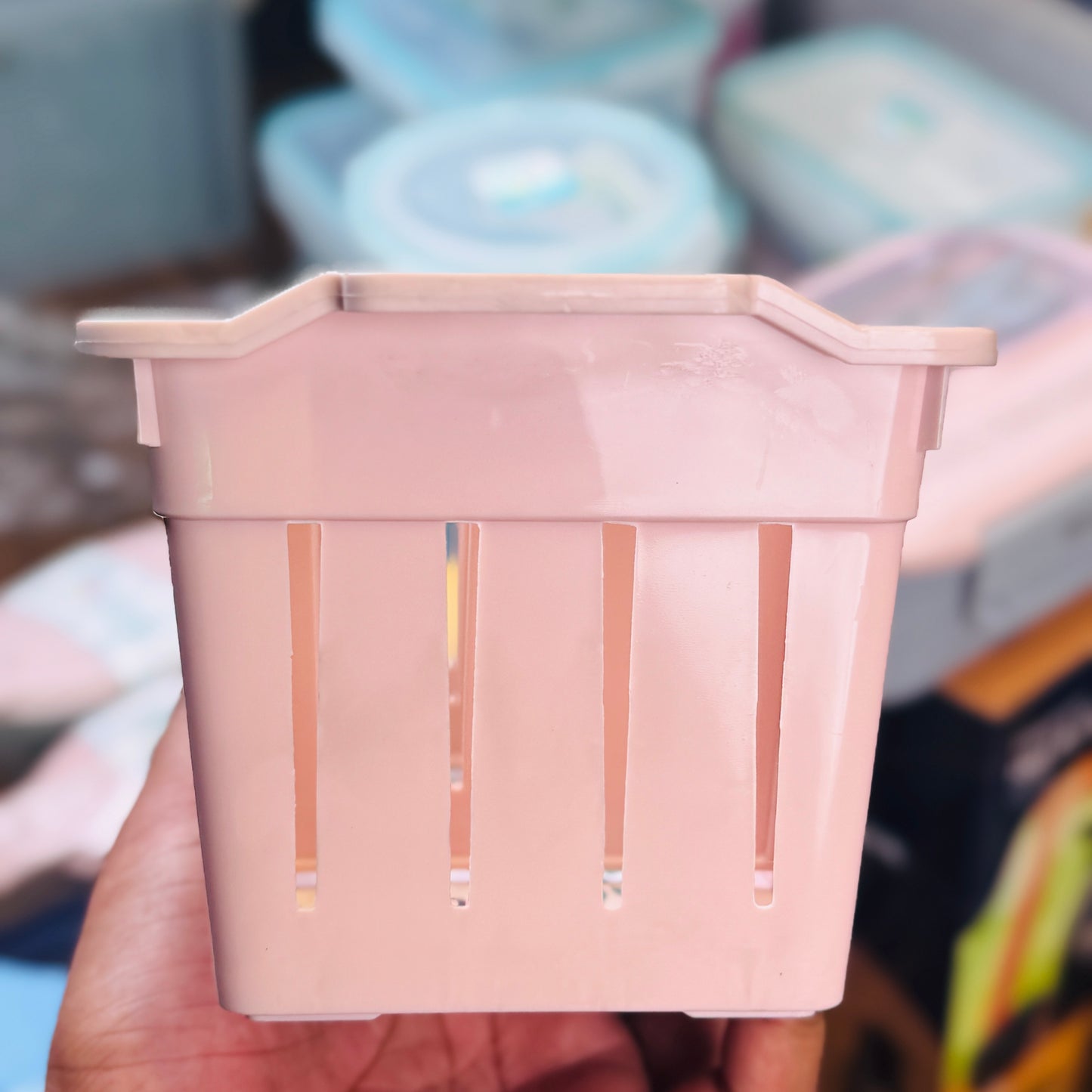 Sun Organizer (3 Sizes)