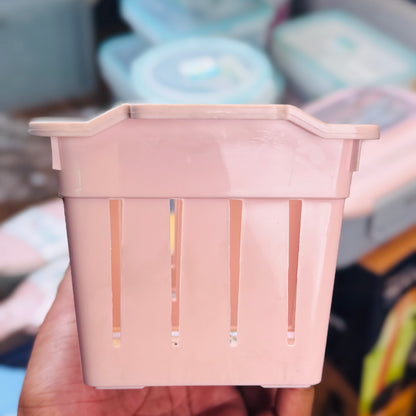 Sun Organizer (3 Sizes)
